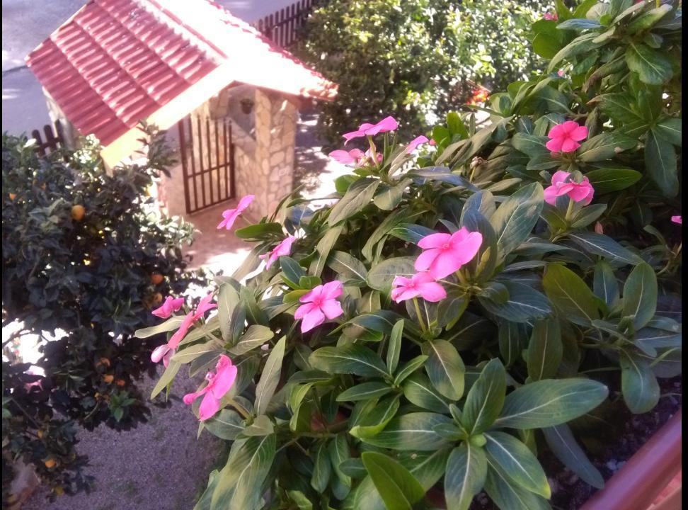 Casa Belvedere Agrigent Exterior foto